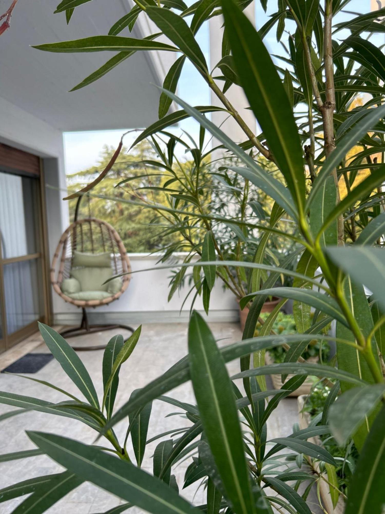Room& Breakfast Martin'S Luxury โบโลญญา ภายนอก รูปภาพ